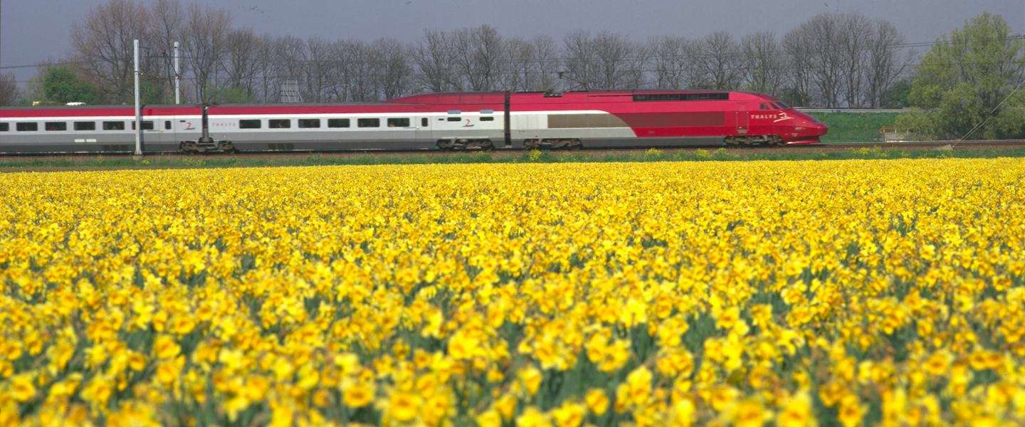 thalys-trein.jpg