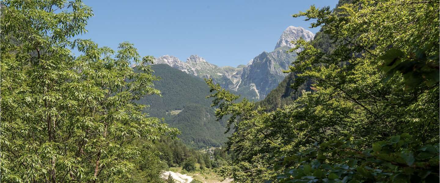 tips-slovenie-1.jpg
