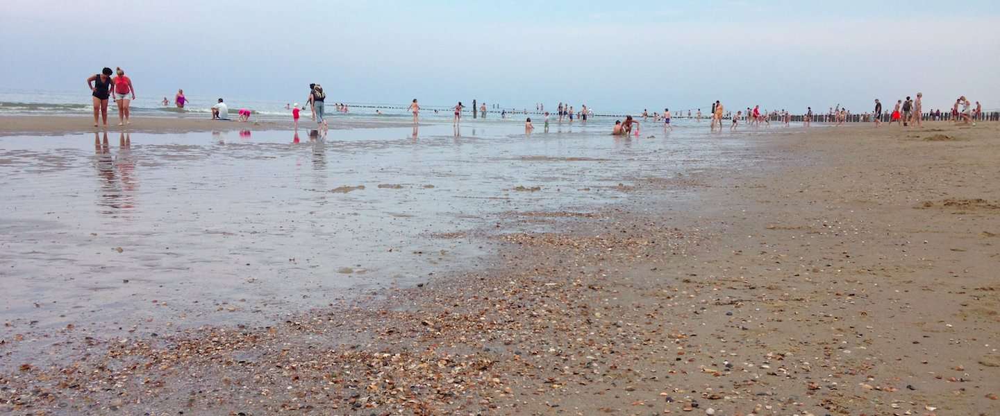 zomer-meer-vakantievierders.jpg