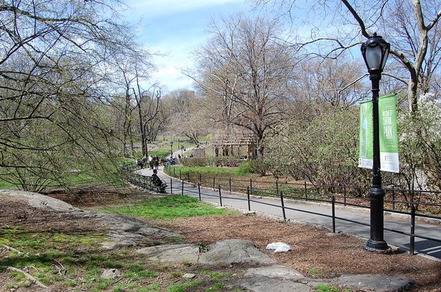 Ga lekker genieten van stadspark Central Park