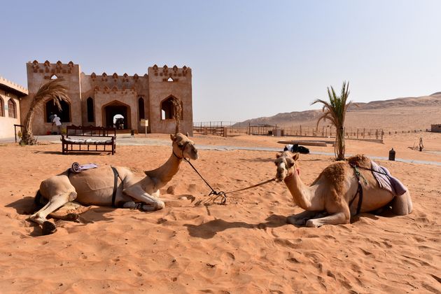 Slapen in de woestijn in 1000 Nights Camp