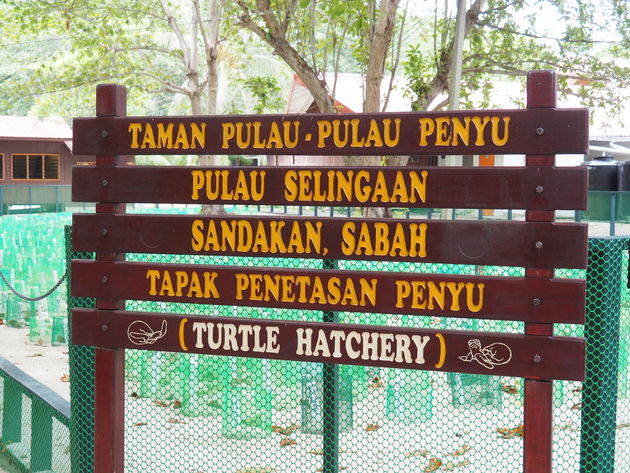 13-selingan-schildpaddeneiland.jpeg