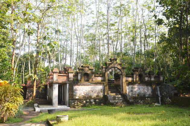 20-java-jungle.jpeg