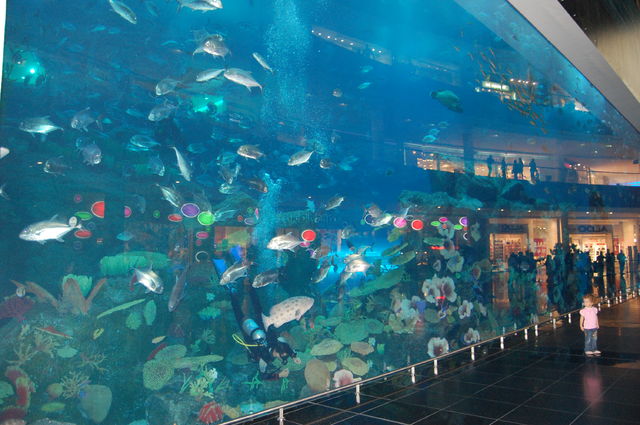 fotoalbum_dubai_aquarium_mall