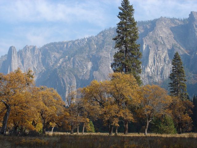 Het prachtige Yosemite National Park