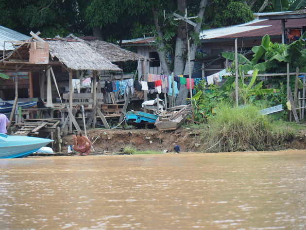 4-kinabatanganrivier.jpeg