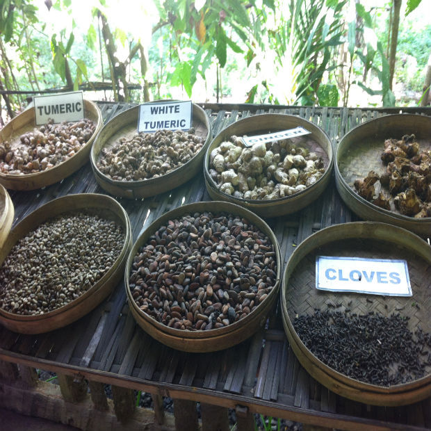 spices_Indonesia