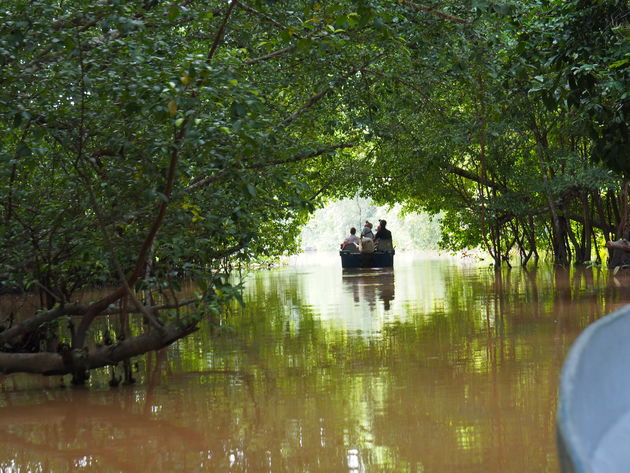De volgende ochtend gaan we vroeg de rivier weer op om te zien hoe de jungle ontwaakt.
