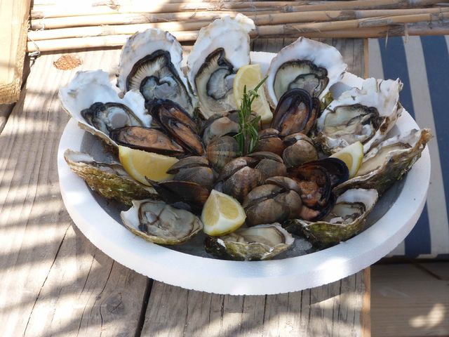 Oesters_Leucate