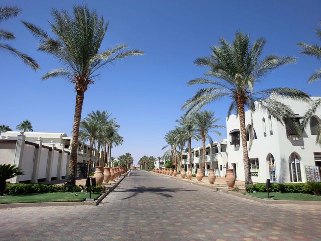 Egypte heeft heel veel mooie resorts, zoals het Reef Oasis Beach Resort in Sharm el-Sheikh