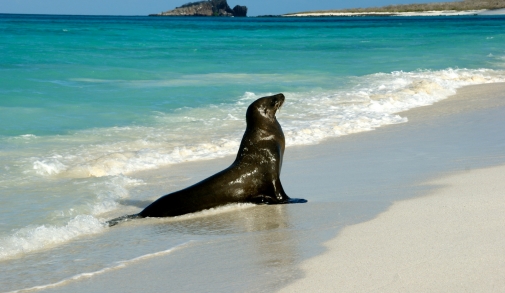 Galapagos_Islands.jpg
