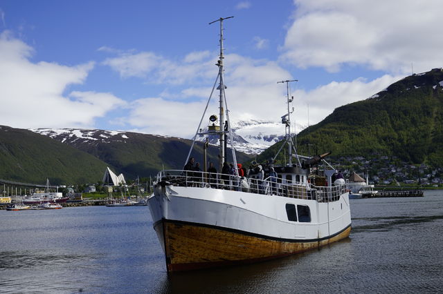 Dagelijks worden er vistochten in de Fjorden georganiseerd