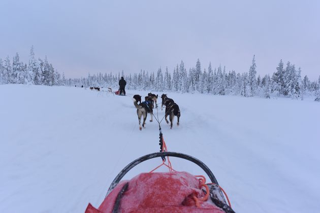 De ultieme Lapland-ervaring!