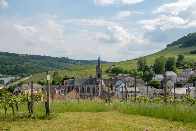 Het dorpje Ahn in de Moezel-regio barst van de wijnboeren