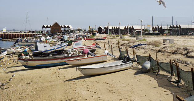 Het strand van Ilha da Culatra (Algarve)