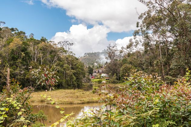 In Andasibe National Park heeft wereld stil gestaan \u00a9 jalvarezg - Adobe Stock