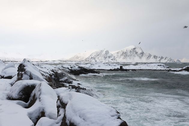 De prachtige kust van Andenes