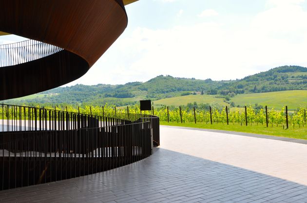 Uitzicht op de Antinori wijnvelden
