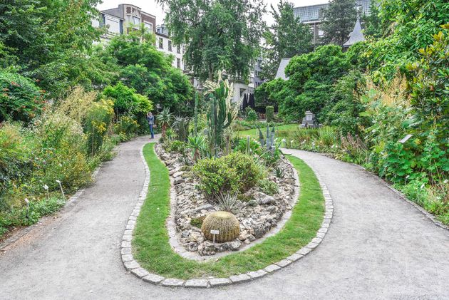 Plantentuin Den Botaniek is een van de weinige groene plekjes in de stad