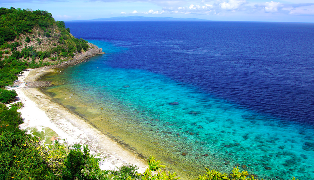 Apo Island op de Filipijnen, een van de mooiste snorkelspots ter wereld!