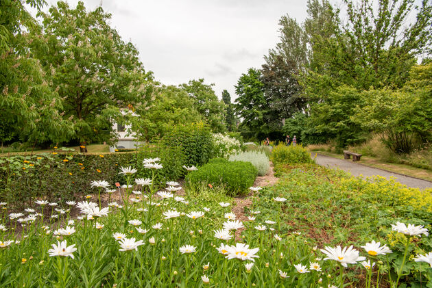 Wandel door het Arboretum