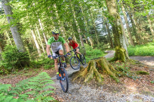 Mountainbiken in de Ardennen