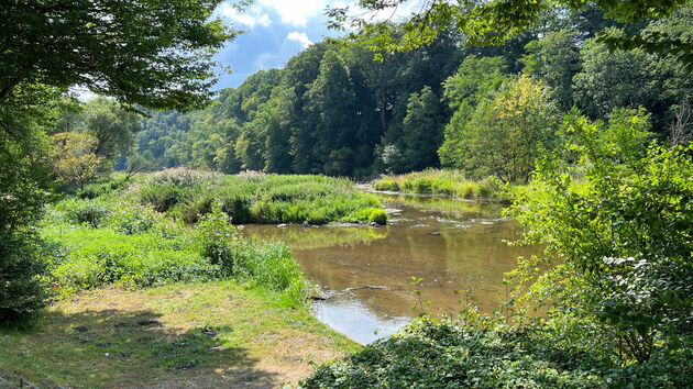 ardennen-wallonie.jpeg