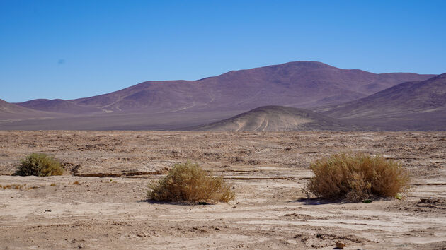 Eindeloze uitzichten in de Atacama woestijn