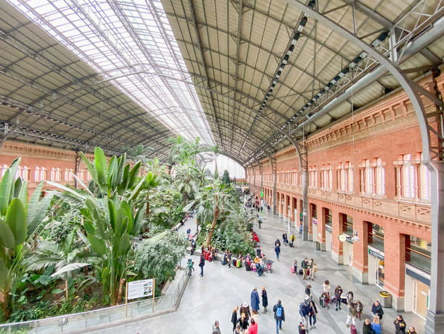 Het bijzondere treinstation Atocha