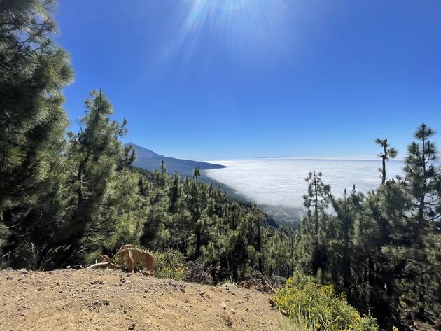<em>Een auto huren op Tenerife? Goed plan! Je rijdt zo boven de wolken naar vulkaan El Teide.<\/em>
