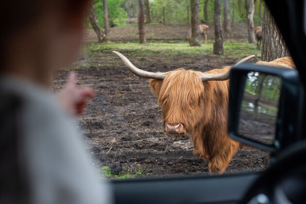 Super tof voor jong \u00e9n oud: op autosafari met je eigen auto