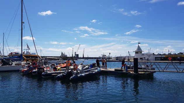 Hier in de haven vertrekken alle boten voor het spotten van onder andere walvissen