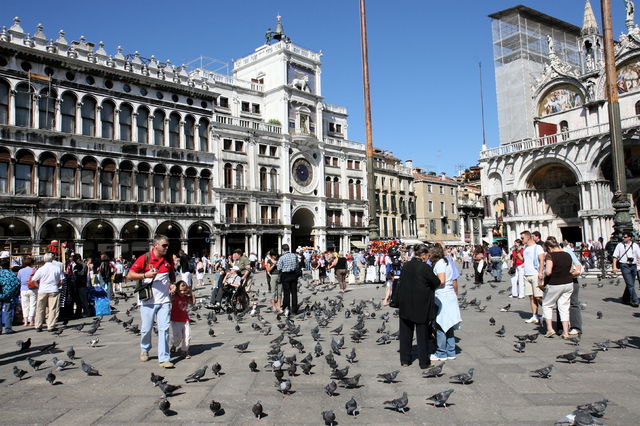 Duiven voeren in Veneti\u00eb mag dus eigenlijk niet!