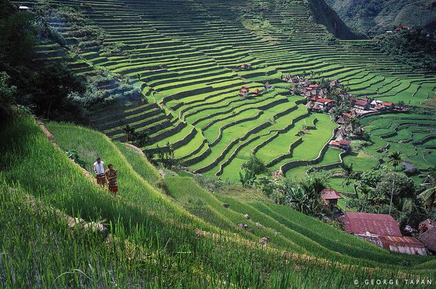 <em>De `trappen naar de hemel` bij Banaue<\/em>