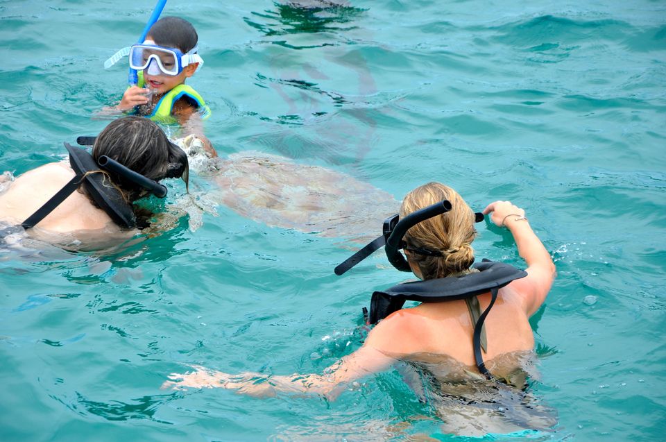 barbados_zwemmen_zeeschildpadden
