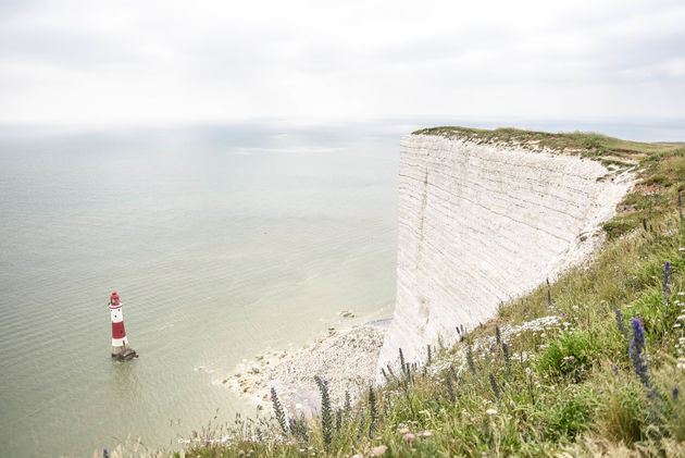 Beachy Head: een van de hoogste kliffen van Engeland