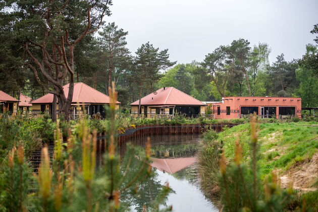 beekse-bergen-accommodaties.jpeg