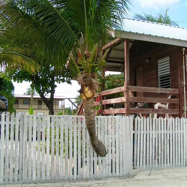 Mooi huisje in Belize!