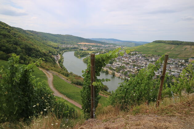 bernkastel-kues-ukasteel.jpeg