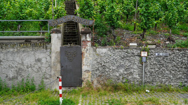 De ingang naar de mythische wijngaard van de Bernkasteler-Docter