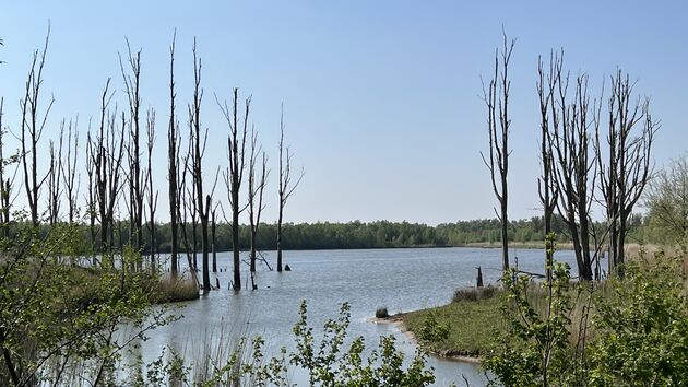 De natuur is hier de baas net als het water