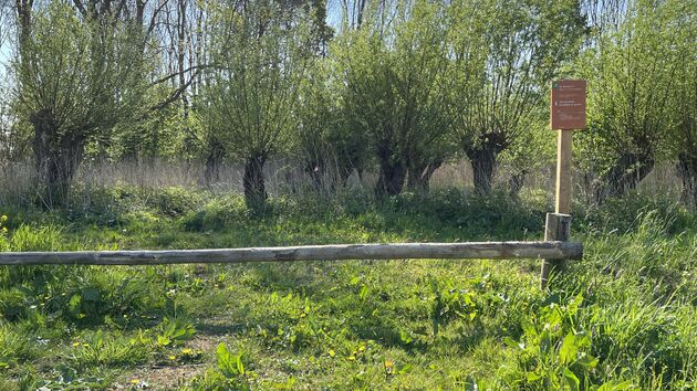 Een van de mooiste wandelgebieden van Nederland