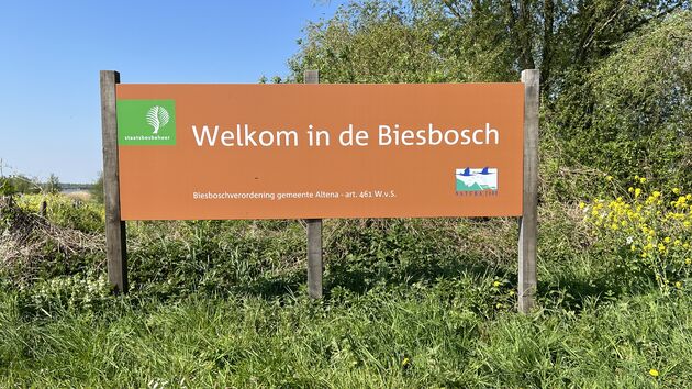 Welkom in de Biesbosch