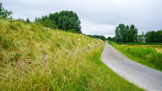 Roadtrippen door West-Brabant is vooral rijden over dit soort binnendoorwegen