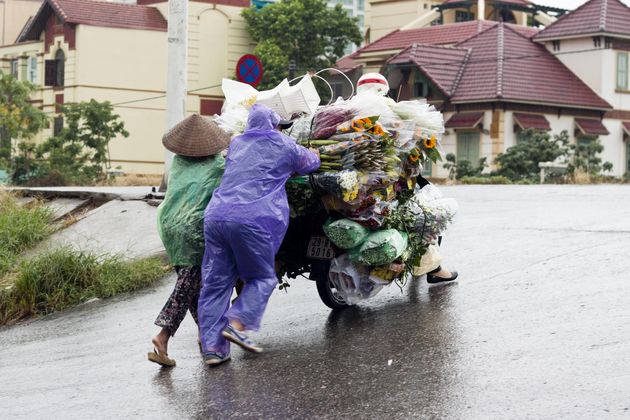 bloemen-regen-vietnam