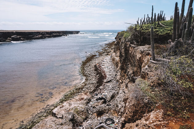 We doen de Boka Ascencio\u0301n Turtuga Trail