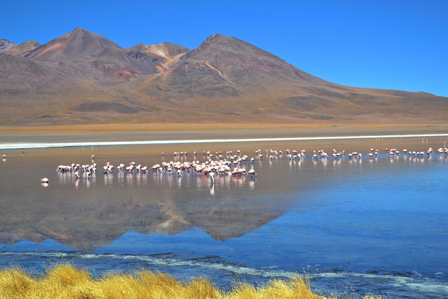 Salar de Uyuni is een van de hoogtepunten van een rondreis door Bolivia