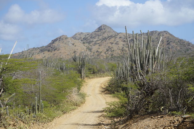 Wie wist er dat er ook `bergen` zijn op Bonaire?