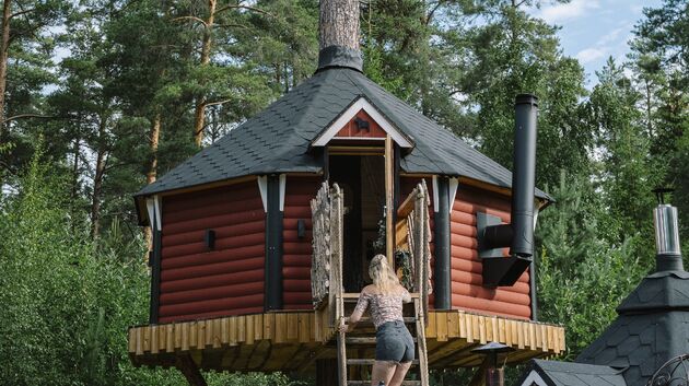 boomhut-zweden-1.jpeg