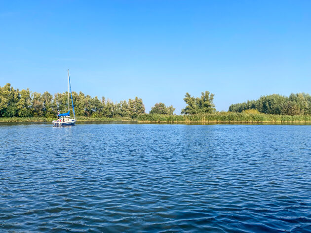 boot-biesbosch.jpeg